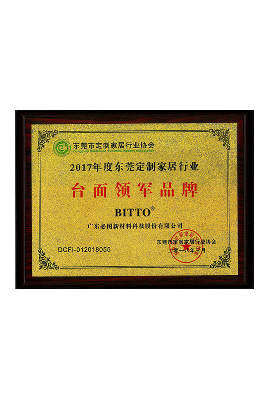 La marca leader nel settore del piano di lavoro dell'industria dell'arredo casalingo su misura di Dongguan nel 2017.